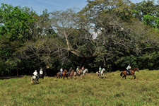 Costa Rica-Pacific Coast-Conquistadores Odyssey Explorer